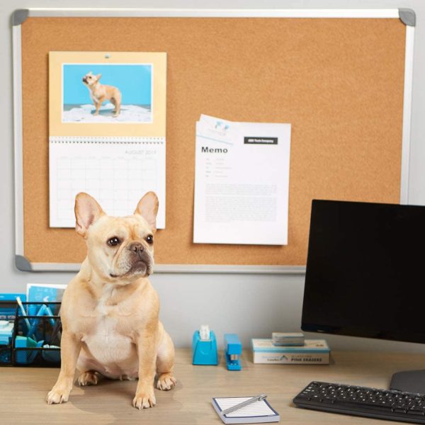 4*4 FT Inch Corkboard with Aluminum Frame, Bulletin Board with Included Push Pins